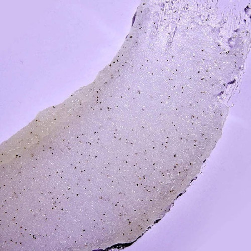 Tree Hut Скраб для тіла  "Таїтянська ваніль" Tahitian Vanilla Bean Sugar Scrub 510g