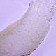 Tree Hut Скраб для тіла  "Таїтянська ваніль" Tahitian Vanilla Bean Sugar Scrub 510g