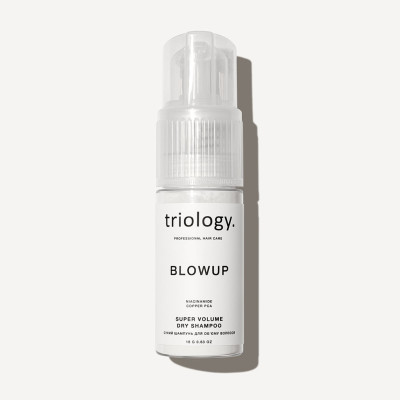 Triology Сухий шампунь для об'єму волосся Blowup 18г Triology Сухий шампунь для об'єму волосся Blowup 18г