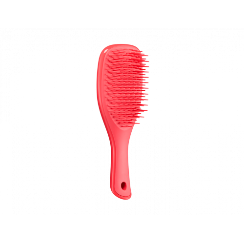 Tangle Teezer Щітка для волосся  The Wet Detangler Mini Pink Punch 