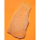 Tree Hut  Скраб для тіла "Тропічне манго"  Tropical Mango Sugar Scrub  510g